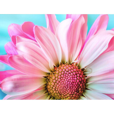 

Diamond Painting Flowers Full Square Diamond Embroidery Cross-stitch Rhinestone Mosaic Picture Home Decor