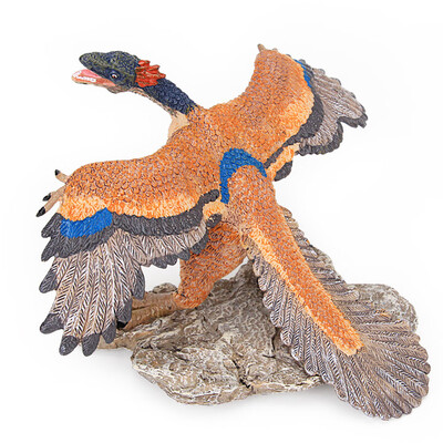 

YIWULAEducational Simulated Archaeopteryx Model Cartoon Toy Best For Kids Children