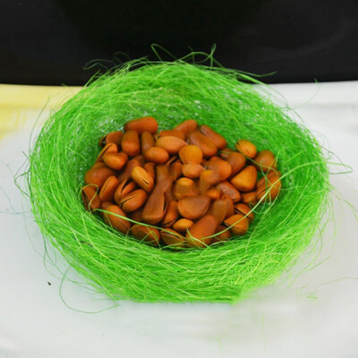 

Cute Mini Bird Nest for Easter Party Decoration Creative Natural Hemp Bird Nest Easter Garden Miniature Landscape Decor 20pcs