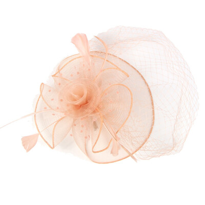 

Wedding Races Party Hair Clip Net Hat Bride Cones&Feathers Occasion