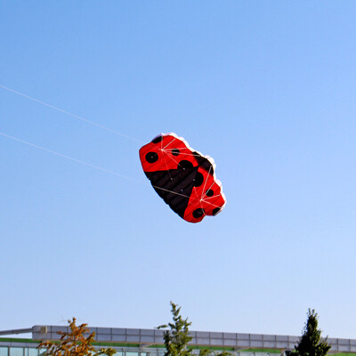 

YIWULAHuge Outdoor Fun Sports Two-Line Software -adybug K-ite Animal Kites Flying