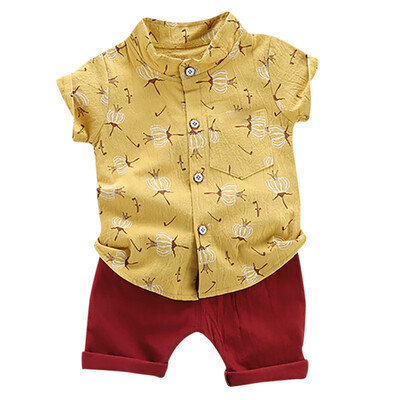 

Summer Set Baby Boys Casual Short Sleeve Floral Pattern shirt TopsShorts Set