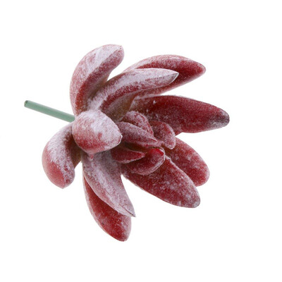

Simulated Succulents Flowers PVC Lifelike Plant Home Decoration Miniature Potted Bonsai Ornaments