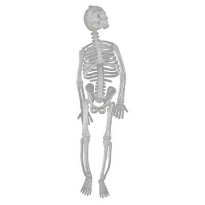 

Halloween Horror Luminous Skeleton Plastic Hanging Skeleton Glow In The Dark For Ghost House Decoration Props Party Supplies