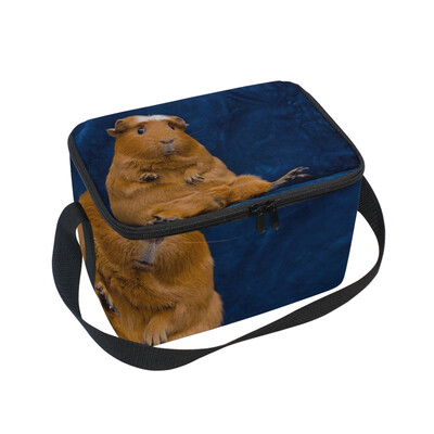 

ALAZA Lunch Box Insulated Lunch Bag Large Cooler Funny Guinea Pig Tote Bag