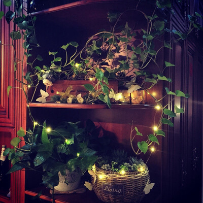 

Holiday String Lights Christmas Light Copper Wire Decorative Lights Total Length 21 Meters with Battery Box