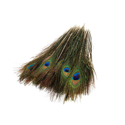 

Willstar 50PCS Real Natural Peacock Eye Feathers 98-118 inch for DIY Craft Wedding Holiday Decoration
