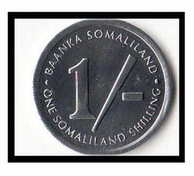 

205mm Republic Of Somaliland 1 Shilling Coin Africa
