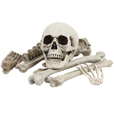 

Halloween Decoration Skeleton Poseable Decoration Party Prop Graveyard Bones