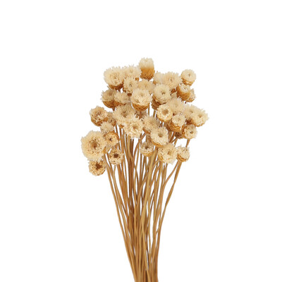 

Willstar Natural Dried Flower Art Bouquet Everlasting Flower Diy Decoration