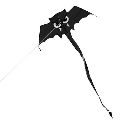

Cute Bat Kite for Kids&Adults Outdoor Sport Single Line Flying Kite with 30m Flying Line