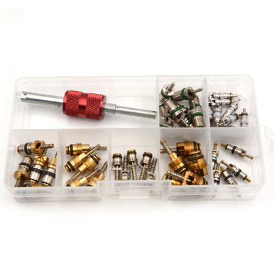 

45Pcs Air Conditioned Valve Core&1Pcs AC R12 R134a Valve Stem Cores Remover Tool