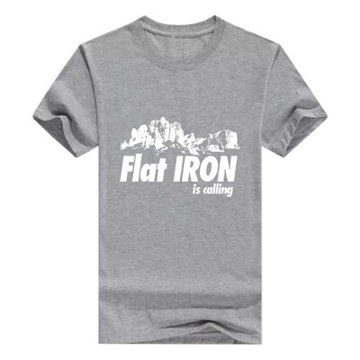 

Flat Iron is Calling Premium Shirt