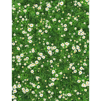 

Green Place Photo Backdrop 57FT Vinyl Fabric Cloth Digital Printing Photo Background s-2399
