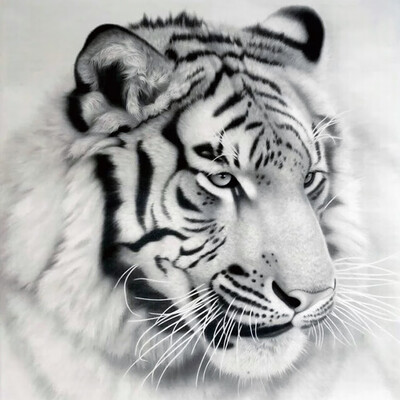 

NAIYUE 12 12 inches 30 30cm DIY 5D Diamond Painting Kit White Tiger Pattern Rhinestone Mosaic Embroidery Cross Stitch Craft