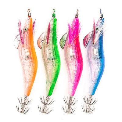 

12g 04oz Transparent Fishing Lure Flashing Hard Lure with Squid Jigs Lure Ring Swivel Sinker Sea Water Fresh Water Imitation Pr