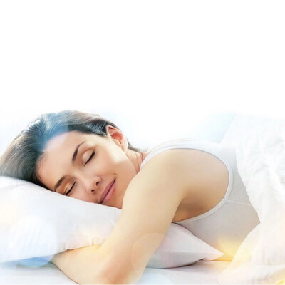 

UpperX 2 White Hotel Pillow Cover Case Waterproof Zipper Protector Bed