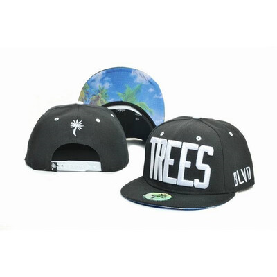 

2019 New Arrivals BLVD Supply snapbacks baseball caps men&women hats