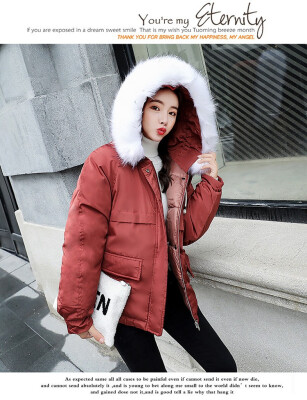 

2018 new cotton-padded jacket Korean winter womens anti-season short style thick cotton-padded jacket loose large fur collar