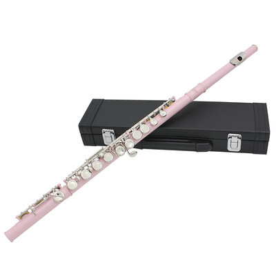 

Western Concert Flute Cupronickel Plated Silver 16 Holes C Key Woodwind Instrument with Cleaning Cloth Stick Gloves Mini Screwdriv