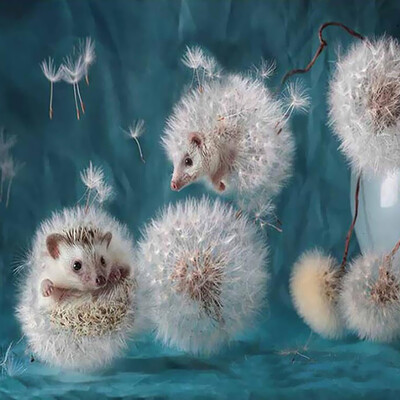 

5D DIY Diamond Embroidery Dream Dandelion Sunset Cute Hedgehog Diamond Painting Rhinestone Home Decoration