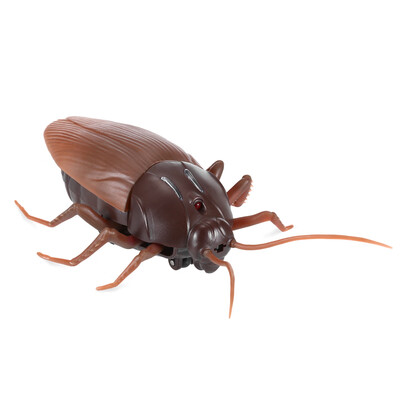 

Radio-controlled Cockroach Scary Roach Toy