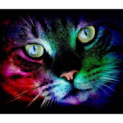 

Diamond Painting Cross Stitch Craft Color Cat Face Artwork DIY 5D Round Diamond Embroidery Home Decoration
