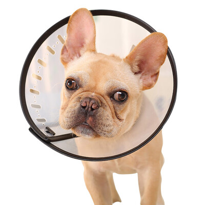 

Hoopet elizabeth circle dog headgear cat hood hood anti-bite ring pet collar 9