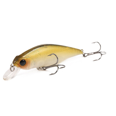 

A FISH LURE Artificial Hard Fishing Bait