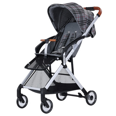 

Multi-function stroller Rich T01 53273