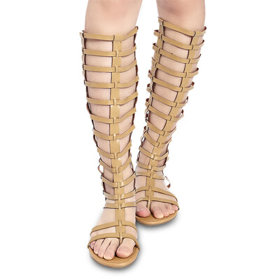 

Sexy Hollow Out Flip-flop Zipper High Tube Gladiator Sandals for Women
