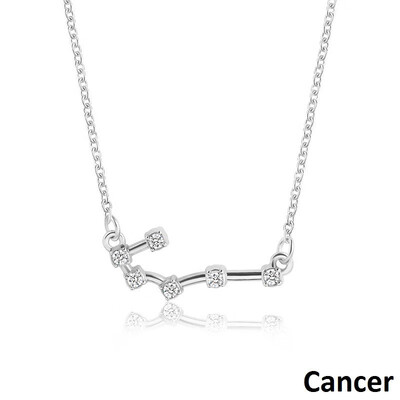 

Outdoor 12 Constellation Pendant Necklace Alloy Chain Necklace for Womens Girls