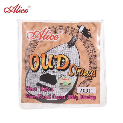 

Alice AOD12 12-String Oud Strings SetG-D-A-E-B-F Nylon Core Silver Plated Copper Alloy Winding 022-033