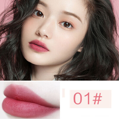 

Matte Lipstick Long Lasting Moisturizing Lipstick For Lip Gloss Set Make Up