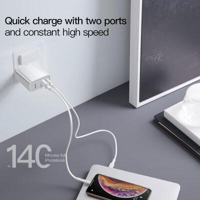 

Baseus 30W USB Wall Charger Dual USB 30 Compact Travel Adapter for Galaxy S10 S9 Note 9 iPhone Xs XR X 8 7 - CE Plug