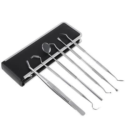 

6pcsset Stainless Steel Dental Tools Tooth Dentist Hygiene Explorer Probe