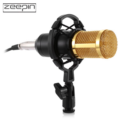 

ZEEPIN BM - 800 Audio Sound Recording Condenser Microphone with Shock Mount