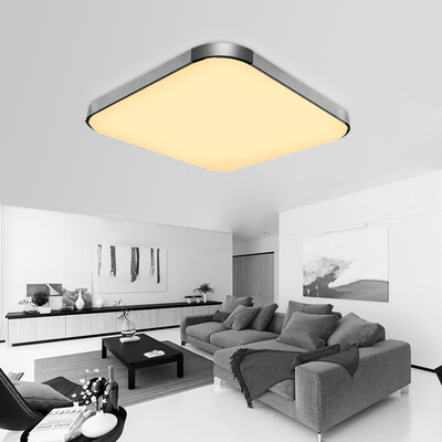 

I10501 - 24W - WJ Stepless Dimmable Ceiling Light