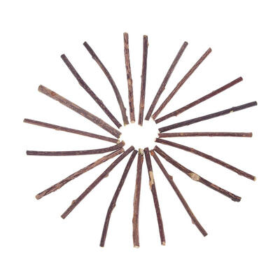 

1520pcs Natural Fruit Matatabi Cat Snacks Sticks Catnip Pet Cat Molar Rod