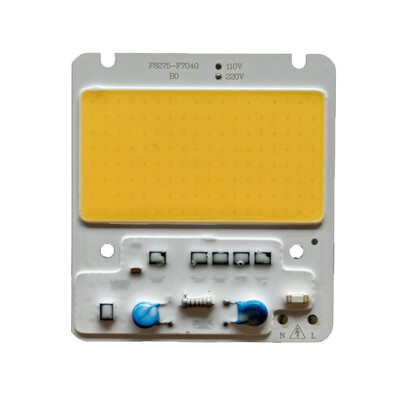

50W DIY COB LED Light Chip for Flood Light AC220V White Warm White