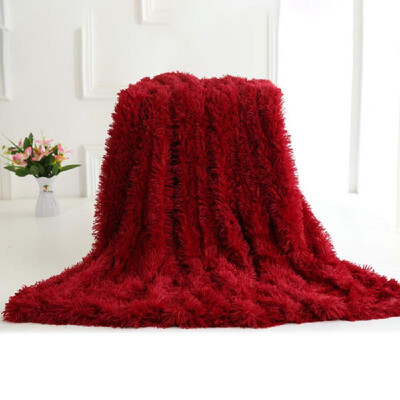 

Long Fur Throw Blanket Super Soft Long Shaggy Faux Fur Lightweight Warm Cozy Plush Fluffy Decorative Blanket for Couch Bed Chair 6