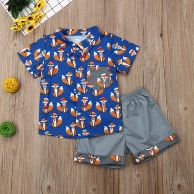 

Baby Kids Boys Girls Cute Cartoon Print T-shirt TopsShorts Casual Outfits Sets