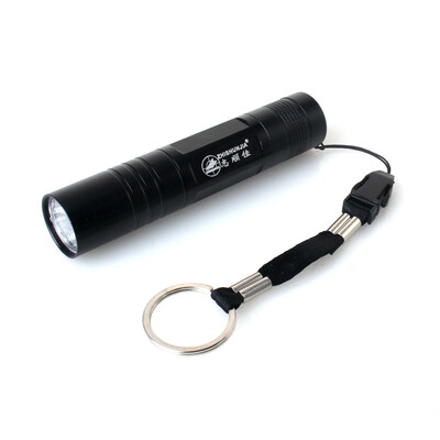 

ZHISHUNJIA ZY-551 Mini ZY-551 100lm Cold White LED Flashlight - Black 1xAA