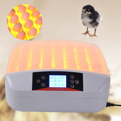 

Ktaxon Newest Automatic 56 Eggs Hatching Incubator with Egg Candler LED Light 110V