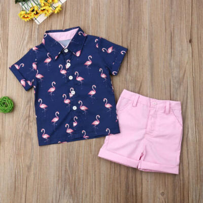 

2PCS Set Toddler Kid Baby Boy Flamingo Tops T-shirtShorts Pants Outfits Clothes