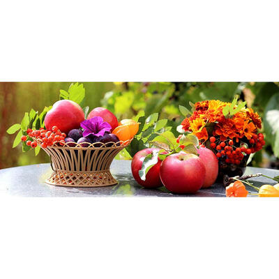 

5D DIY Diamond Painting Fresh Fruits Cross Stitch Embroidery Mosaic Kits
