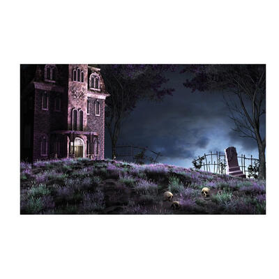

15x09m Halloween Photo Background Backdrop for Studio Video Prop Cloth