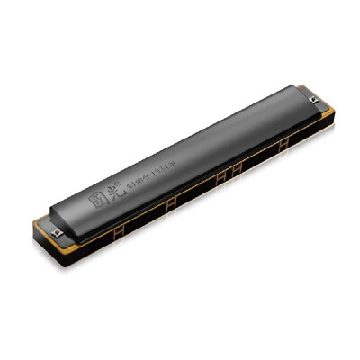 

28 Hole Wide Range Harmonica Key of C Tremolo Harmonica Mouthorgan Professional Wind Instrument Black