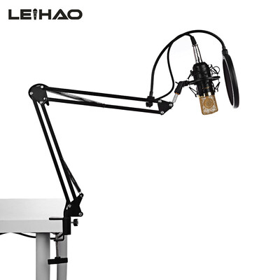 

LEIHAO BM - 700 Professional Condenser Microphone Studio Broadcasting Recording