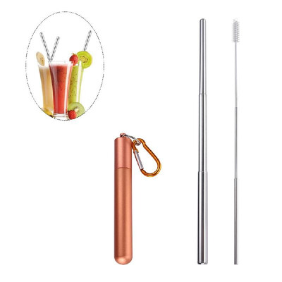 

Portable Collapsible Straw Reusable 304 Stainless Steel Metal Drinking 230MM Straws with Cleaning Brush & Climbing Hook